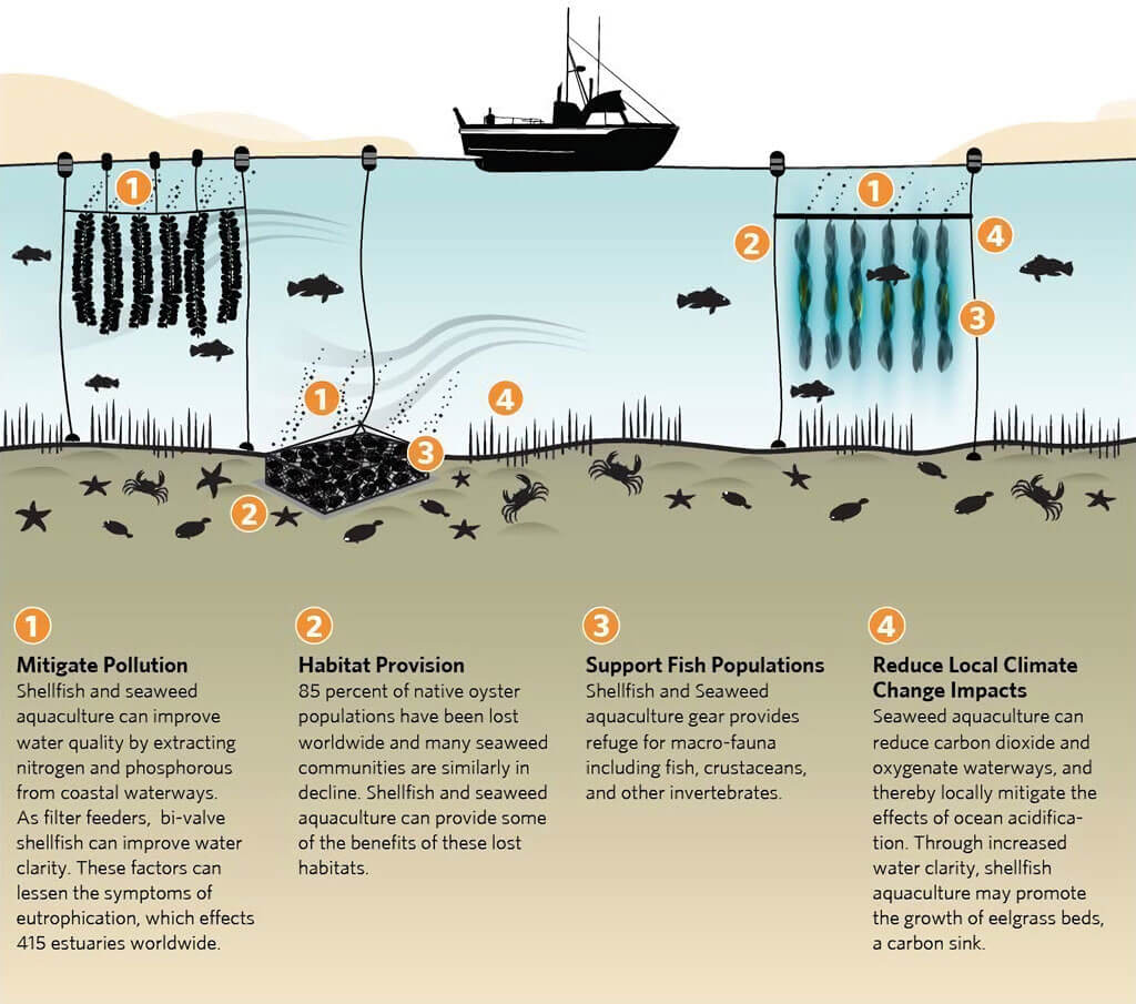 Ecosystem benefits of aquaculture