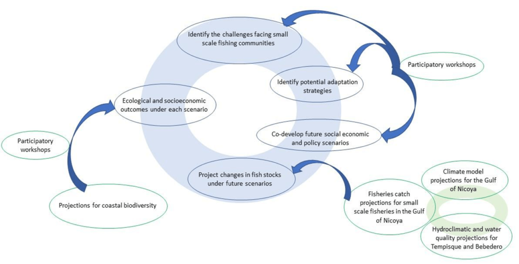 Methodology