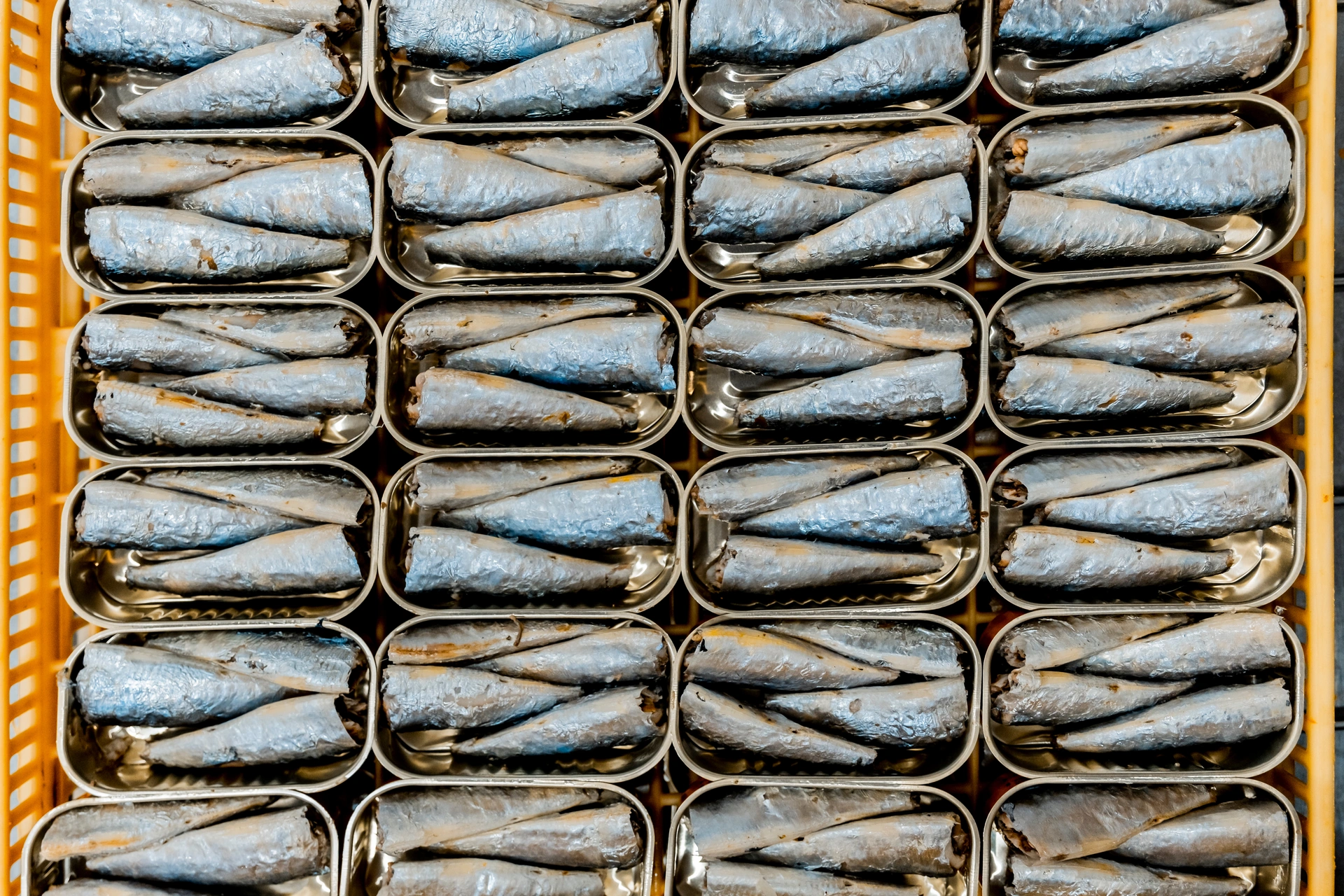 'We're facing a double whammy': America's hottest tinned fish snack is shrinking thanks to climate change and war in Iran