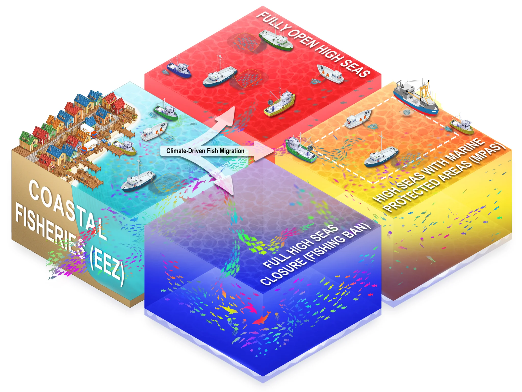 A schematic with the coast and oceans, and illustrations of fish and fishing boats with arrows showing the shifts in fish stocks, and the potential benefits from a ban
