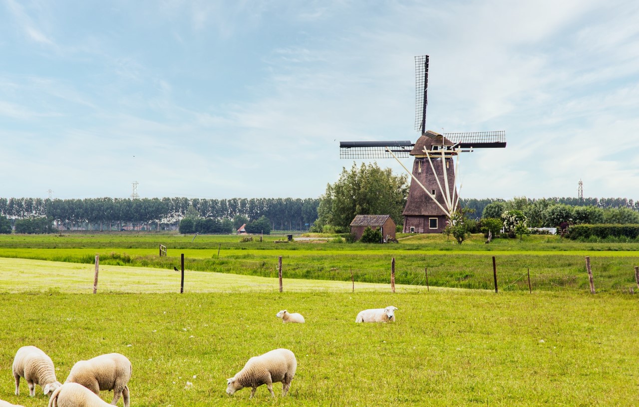Netherlands Case Study: Overview