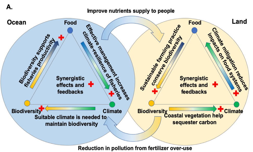 Food-biodiversity-climate nexus on ocean and land (panel A)