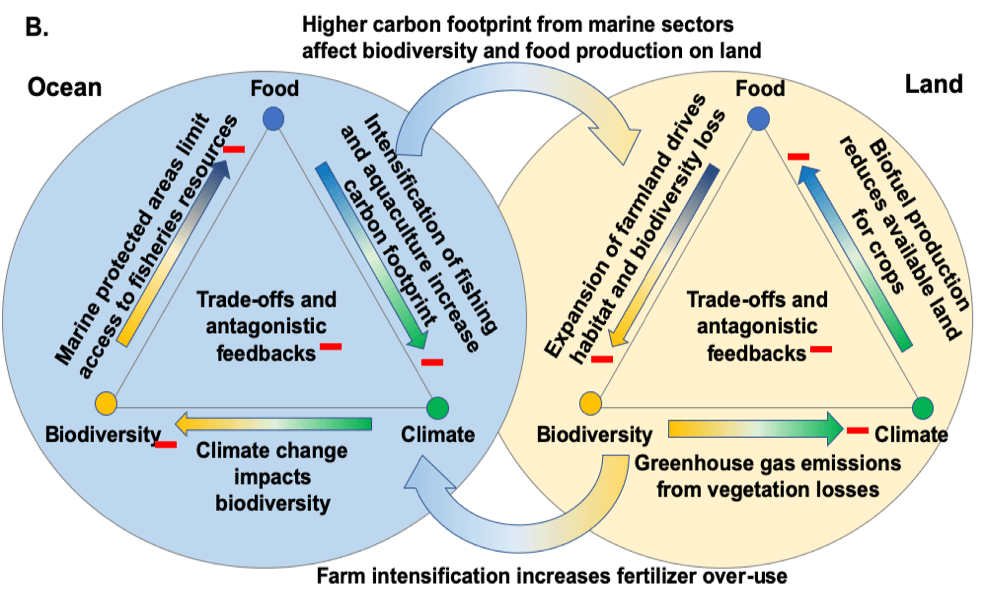 Food-biodiversity-climate nexus on ocean and land (panel B)