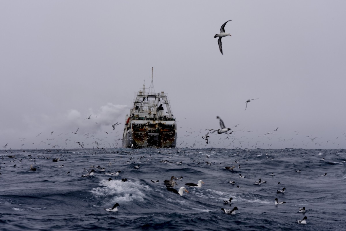 Why we should protect the high seas from all extraction, forever