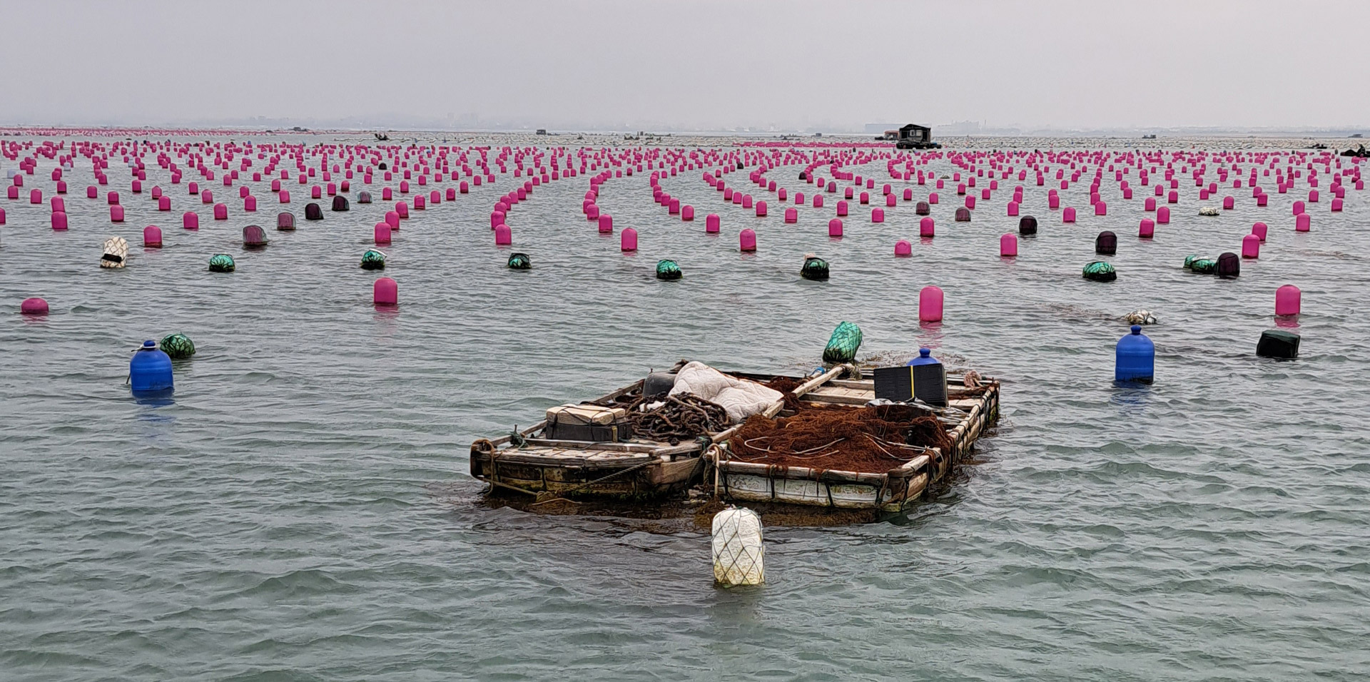 How mariculture can help save our oceans