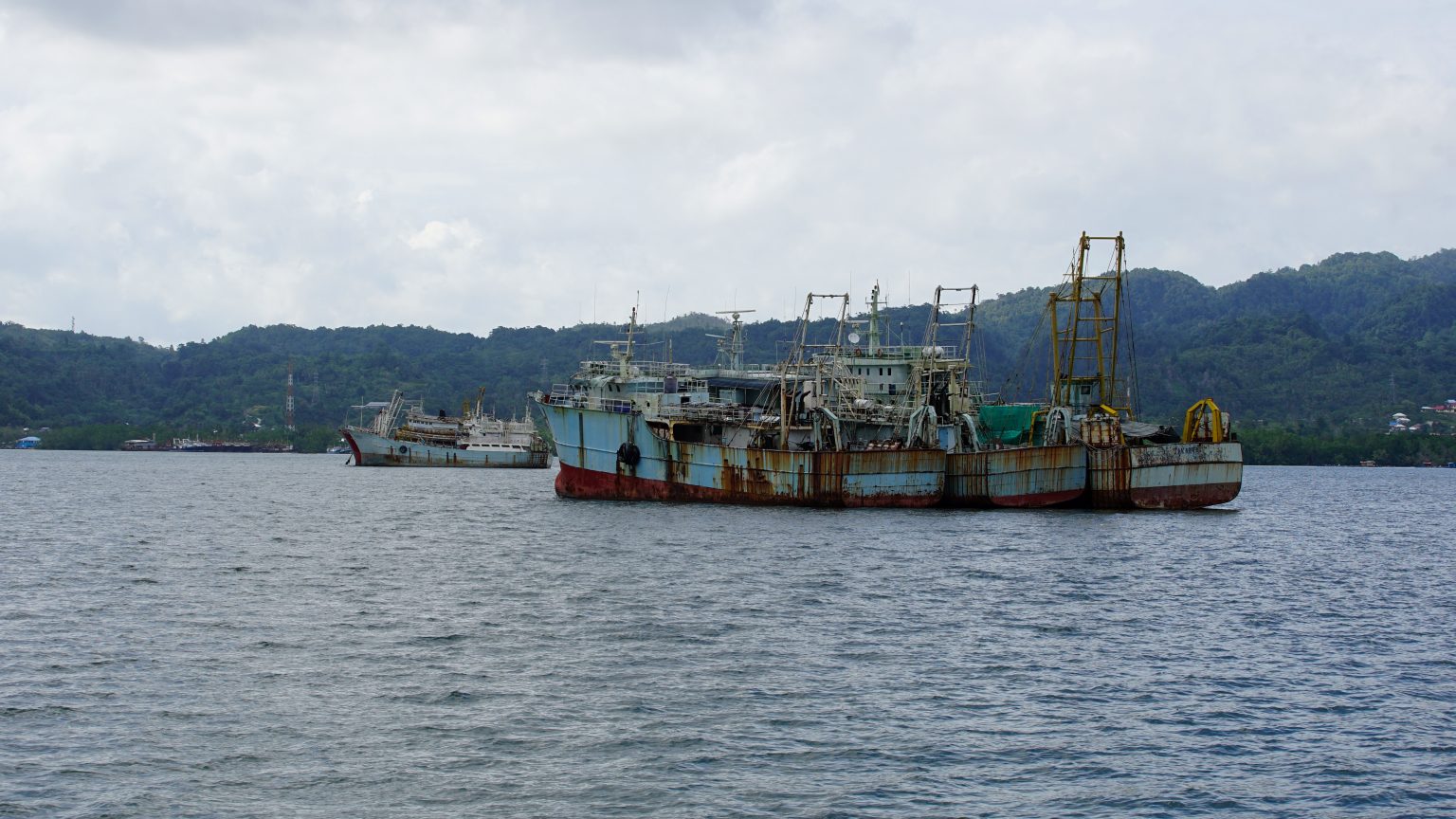 Weathered industrial fishing vessels moored off a tropical coastline