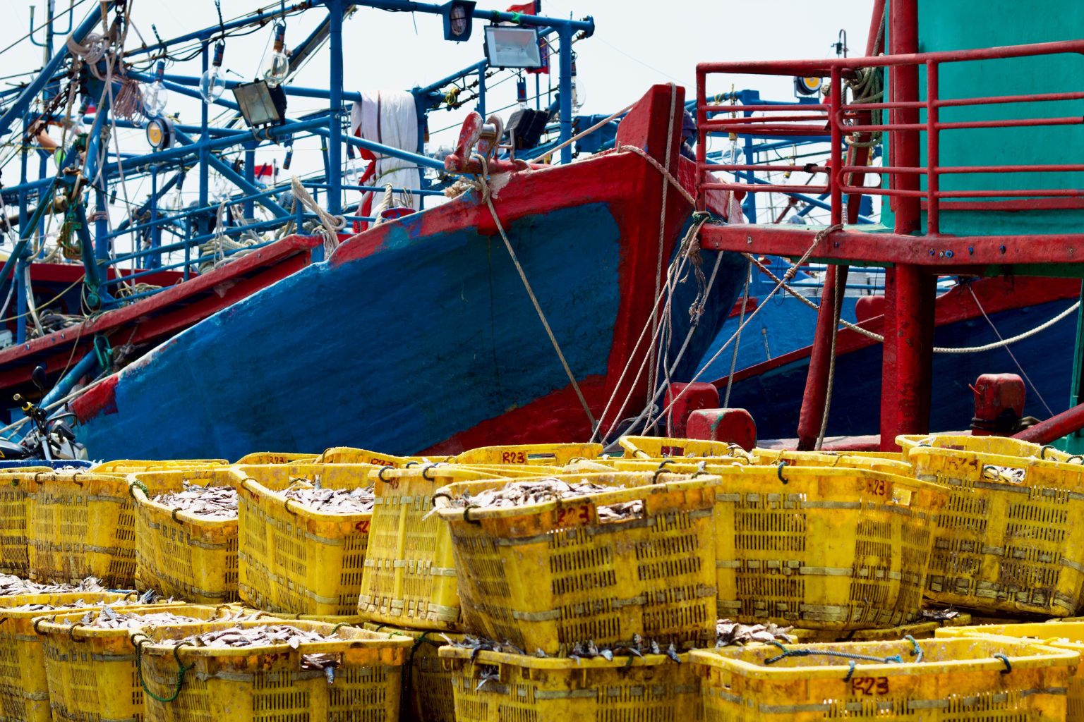 Yellow crates of freshly caught fish stacked on a dock beside a commercial fishing vessel