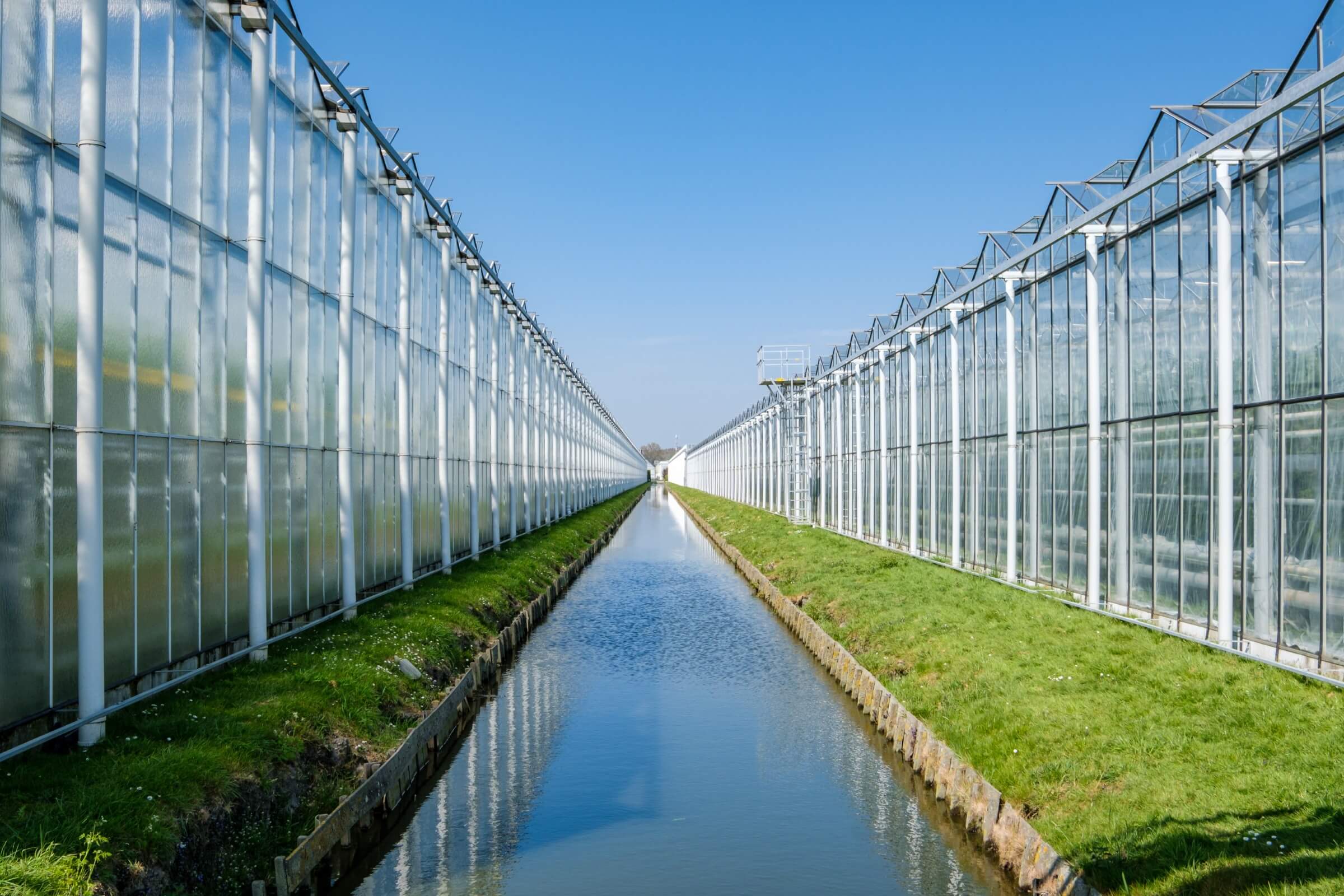 solvingfcb-nature-inclusive-agriculture-netherlands-3