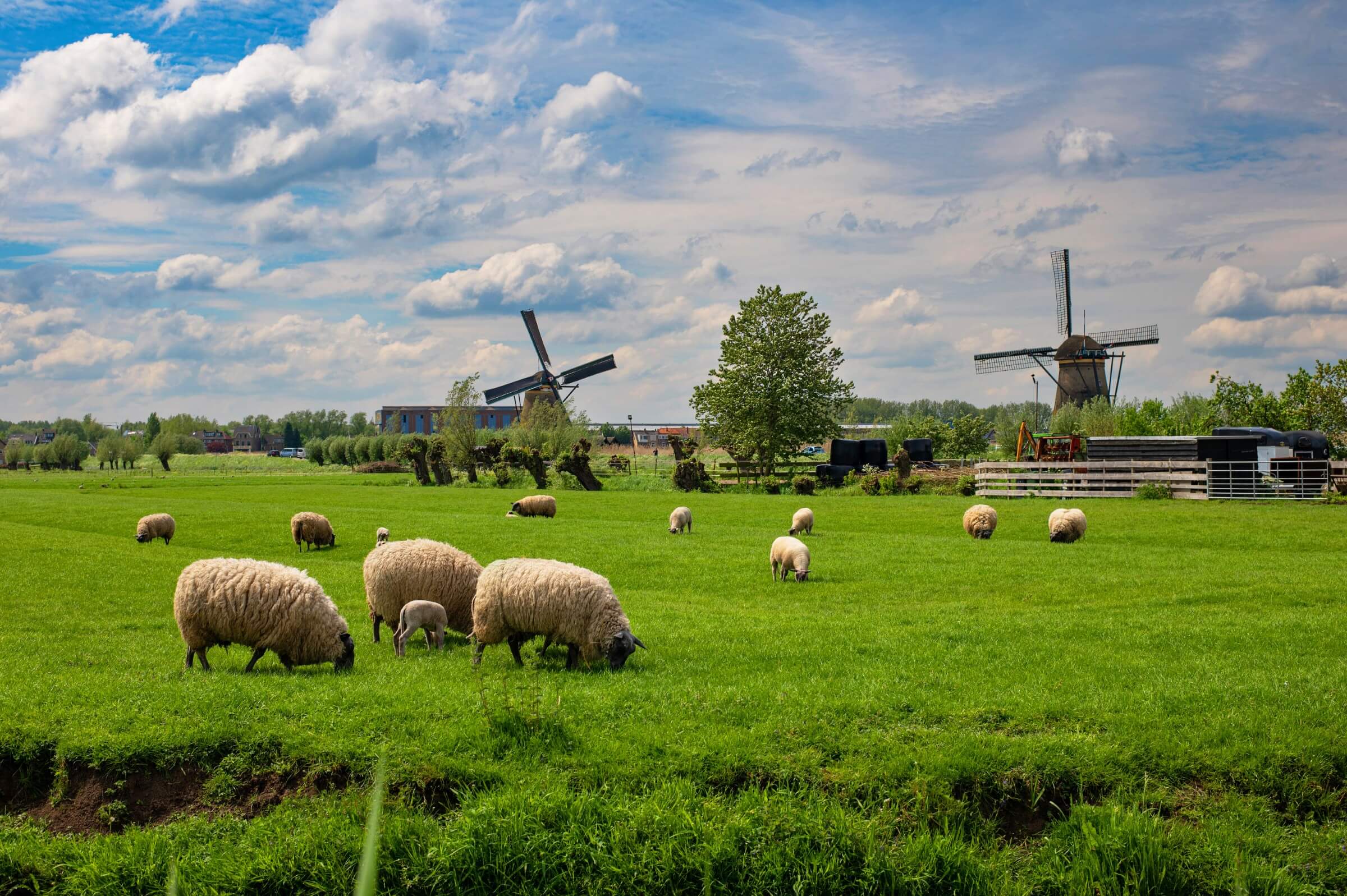 Nature-Inclusive Agriculture and the Effort to Solve the Netherlands’ Food Production Dilemma