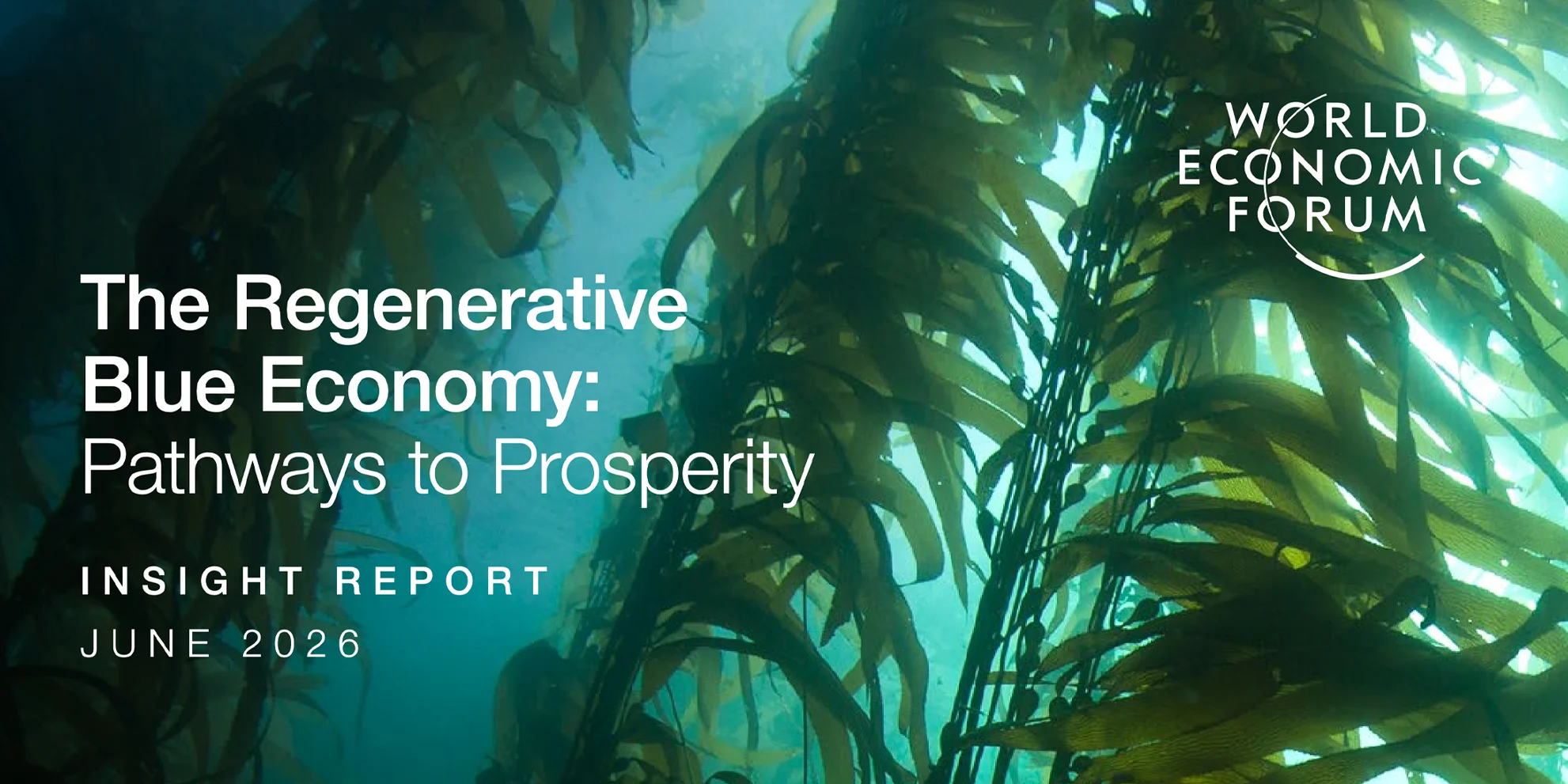 Building a Regenerative Blue Economy