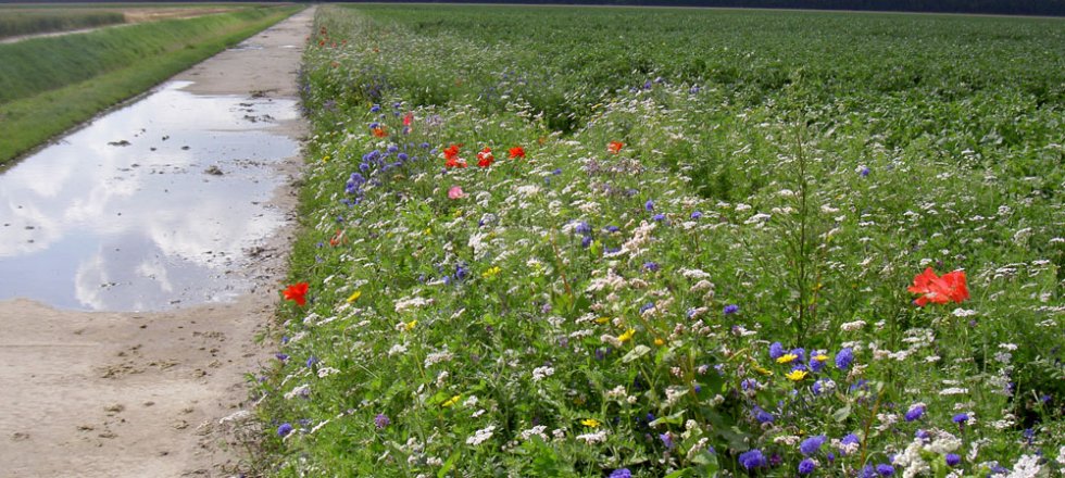 WUR and protected areas